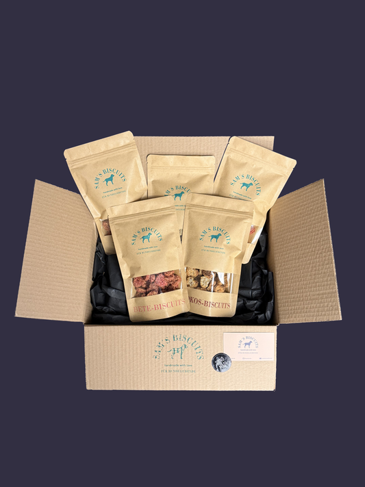 Fünf Tüten Hundekekse in einem Versandkarton mit den besten leckerlies für Hunde