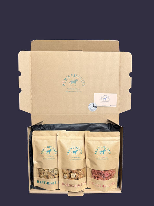 Drei Tüten besondere Hundekekse in einem Versandkarton von SAM'S BISCUITS